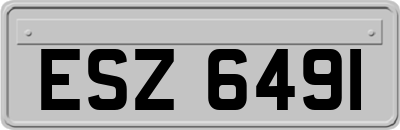 ESZ6491