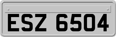 ESZ6504
