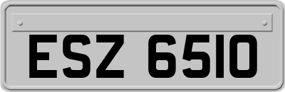 ESZ6510