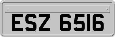 ESZ6516