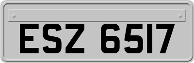 ESZ6517