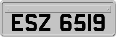 ESZ6519
