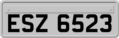 ESZ6523