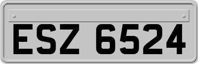 ESZ6524