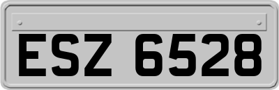 ESZ6528