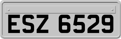 ESZ6529