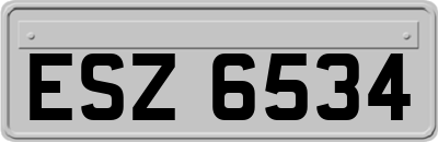 ESZ6534