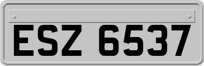 ESZ6537