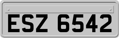 ESZ6542