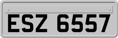ESZ6557