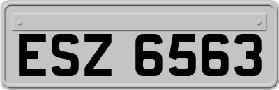 ESZ6563