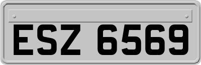 ESZ6569