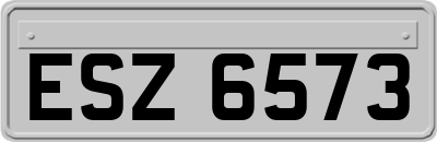 ESZ6573