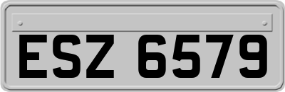 ESZ6579