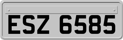 ESZ6585