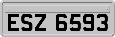ESZ6593