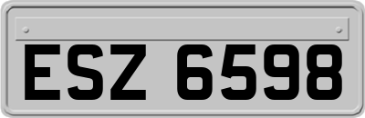 ESZ6598