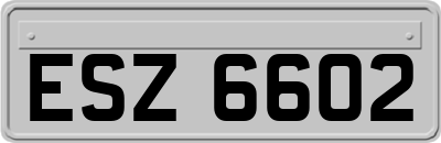 ESZ6602