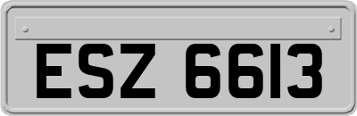 ESZ6613