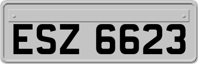ESZ6623