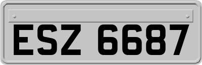 ESZ6687