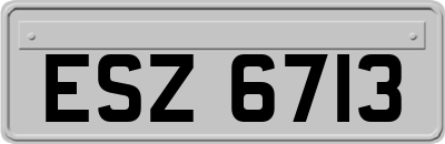 ESZ6713