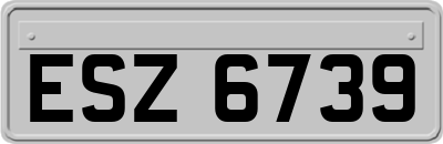 ESZ6739
