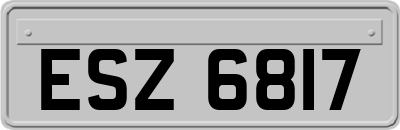 ESZ6817