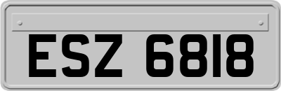 ESZ6818