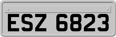 ESZ6823