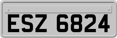 ESZ6824
