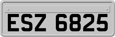 ESZ6825