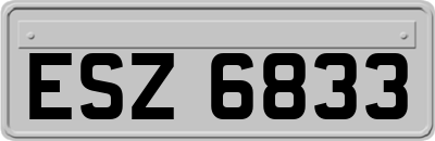 ESZ6833