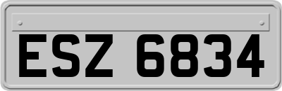 ESZ6834