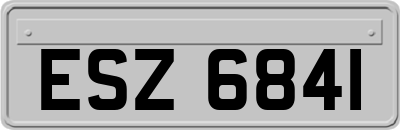 ESZ6841