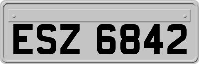 ESZ6842