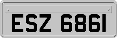 ESZ6861