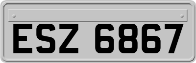 ESZ6867