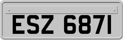 ESZ6871