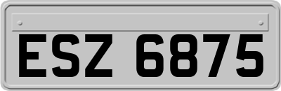 ESZ6875