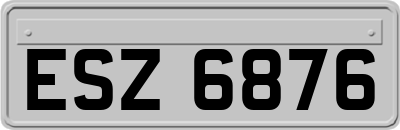 ESZ6876