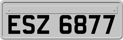 ESZ6877