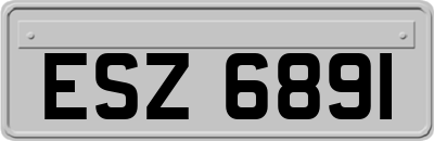 ESZ6891