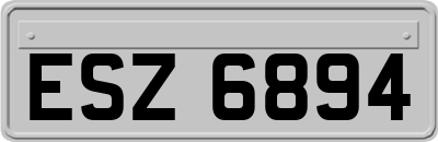ESZ6894