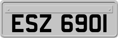 ESZ6901
