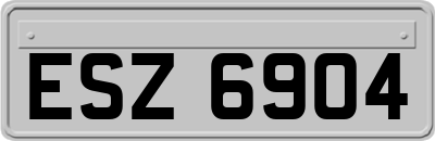 ESZ6904