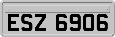 ESZ6906