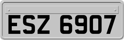 ESZ6907
