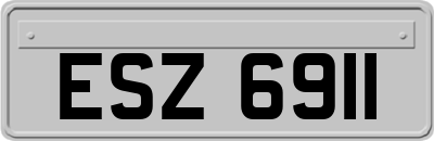 ESZ6911