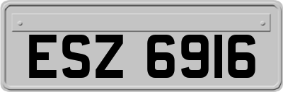 ESZ6916